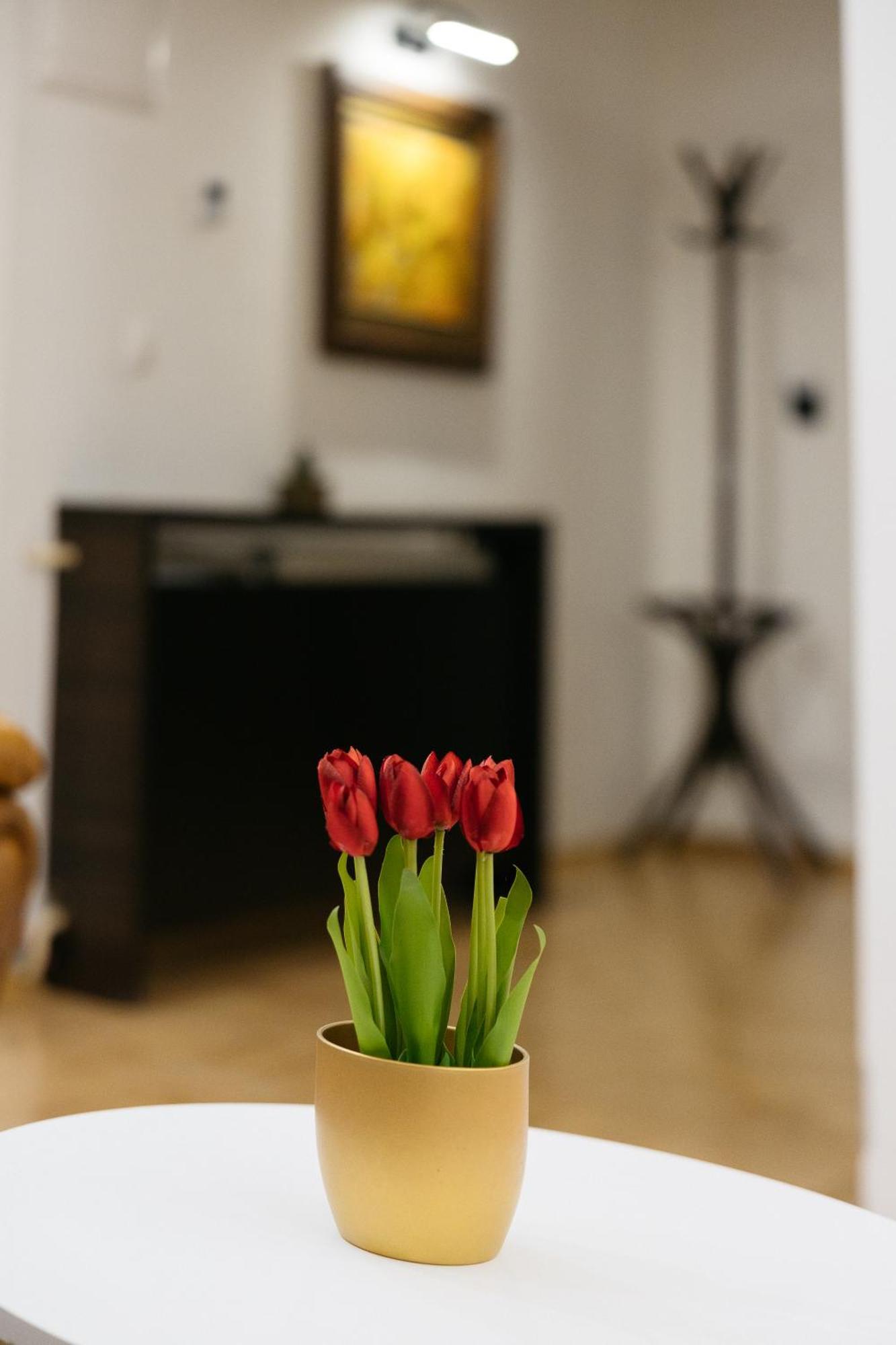 Kočani Hotel Gradche מראה חיצוני תמונה